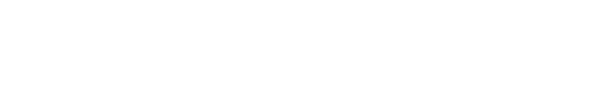 Spirit logo hvid